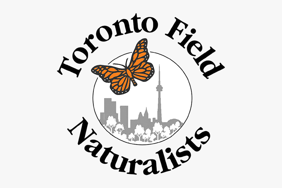 Toronto Field Naturalists - Absinth 66, Transparent Clipart