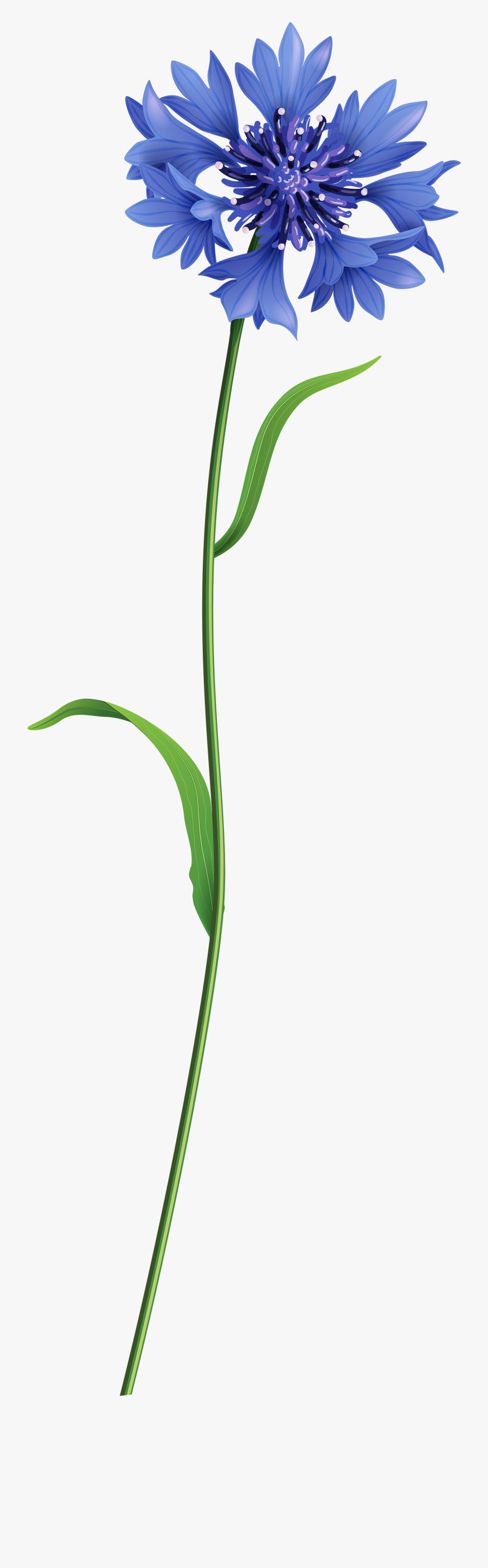 Blue Png Clip Art - Blue Flower With Stem Png, Transparent Clipart