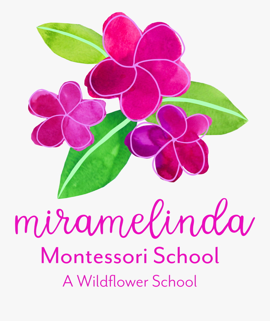 Rosa Glauca, Transparent Clipart