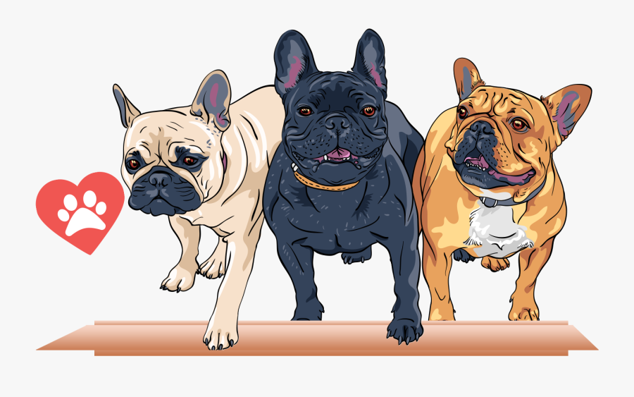 Transparent French Bulldog Clipart - Free French Bulldog Png, Transparent Clipart
