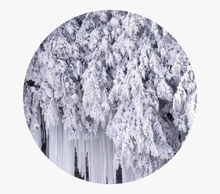 #iciclesticker #icicle #circle #aesthetic #snow #white - Frozen Cold Ice, Transparent Clipart