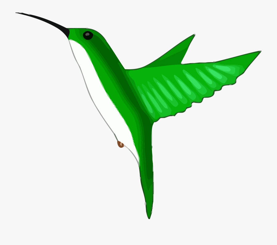 Green Bee Eater Clipart Png - Hummingbird Clipart Easy, Transparent Clipart