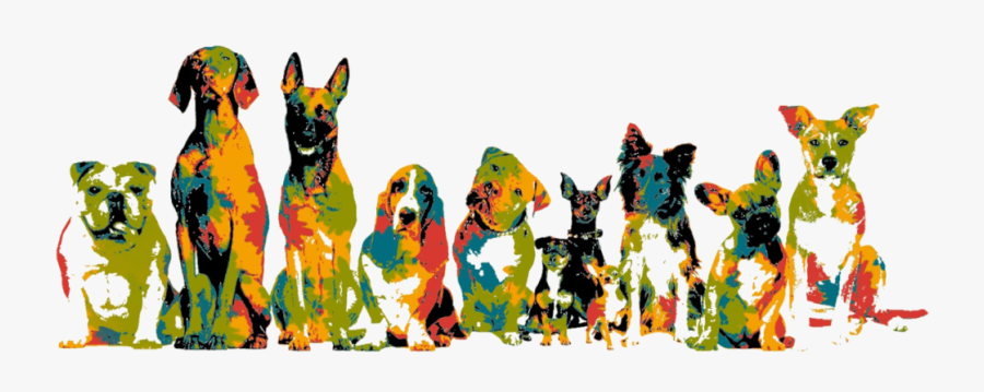 Transparent Dog Laying Down Clipart - Rescue Ranch Yreka, Transparent Clipart