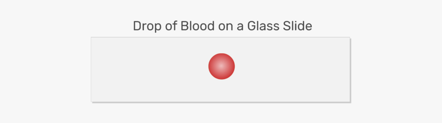 Circle, Transparent Clipart