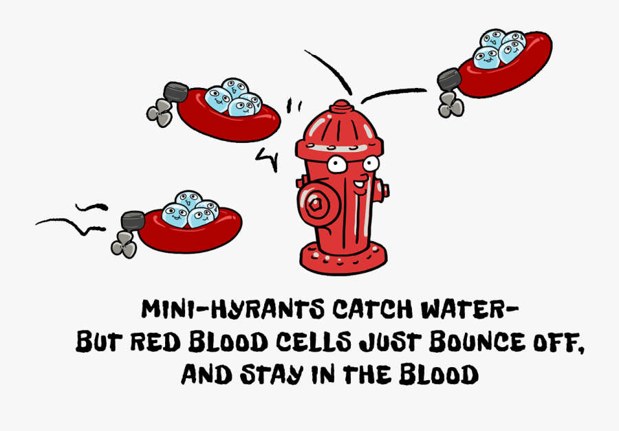 Clip Art, Transparent Clipart