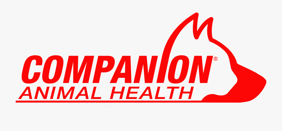 Graphic Design, Transparent Clipart