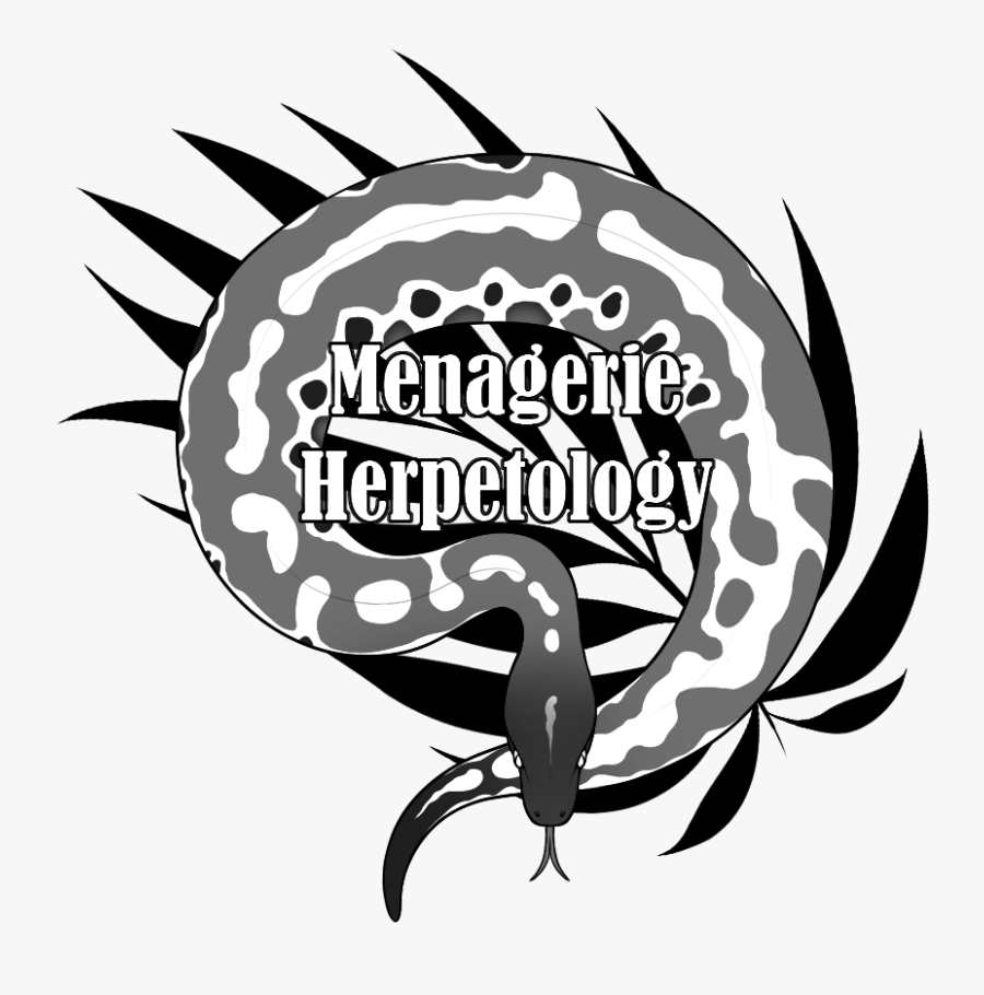 Rutgersfest, Transparent Clipart