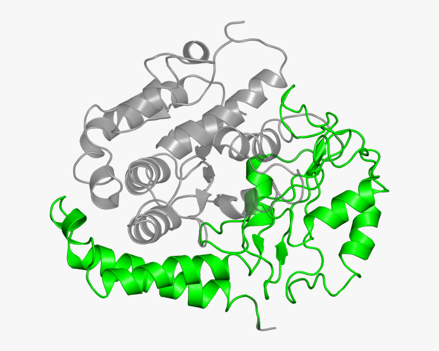<div Class="caption-body, Transparent Clipart