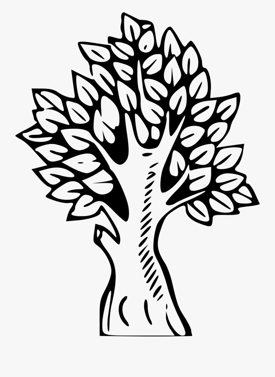 Art,monochrome Photography,artwork - Tree Clipart Colour, Transparent Clipart