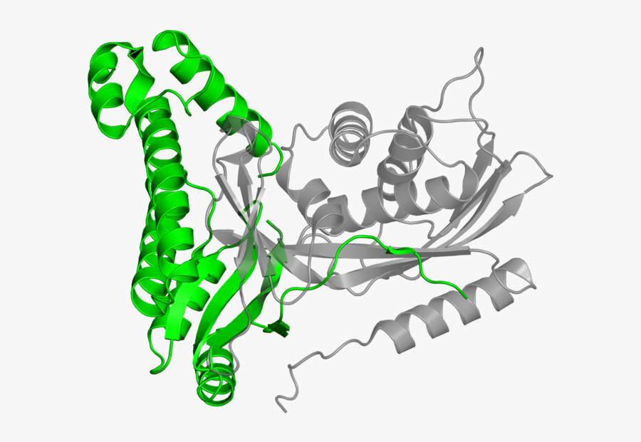 <div Class="caption-body, Transparent Clipart