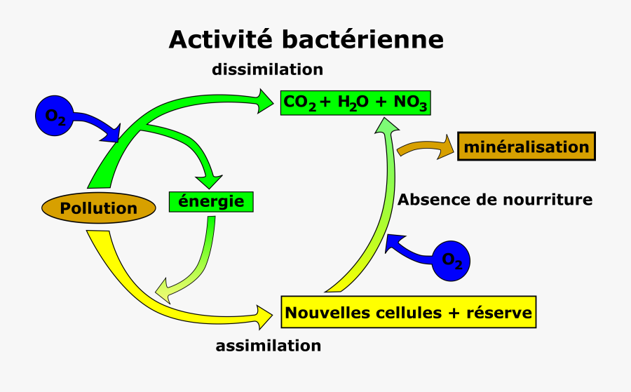 Elimination De La Pollution - Pollution Clipart, Transparent Clipart