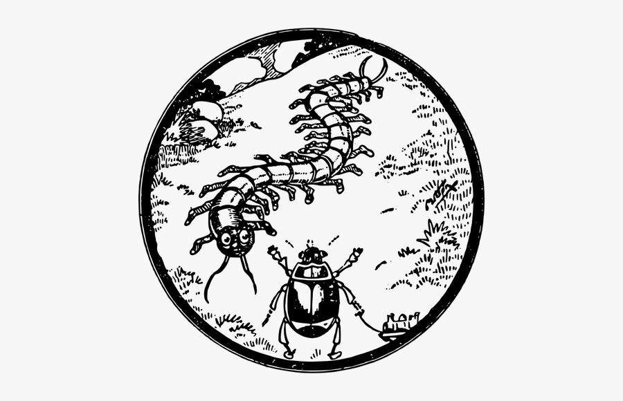 Bug Friends - Circle, Transparent Clipart