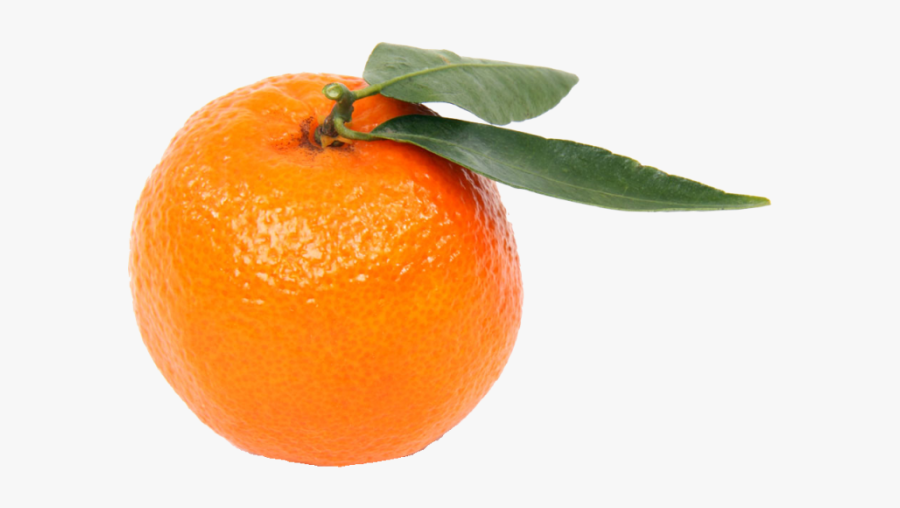 Mandarin Orange Png Transparent Background - Clementine Fruit, Transparent Clipart