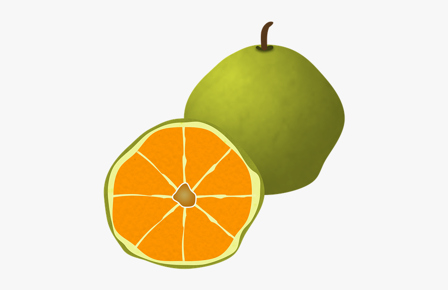 Ugli Fruit, Fruit, Citrus, Organic, Juicy, Orange - Ugli Fruit Png, Transparent Clipart