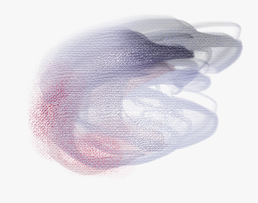 Fish, Transparent Clipart