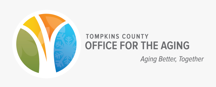 Circle, Transparent Clipart