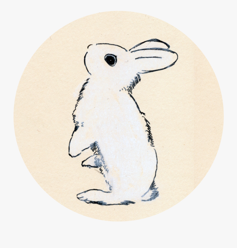 Initial Pen And Chalk Drawing - Cartoon, Transparent Clipart