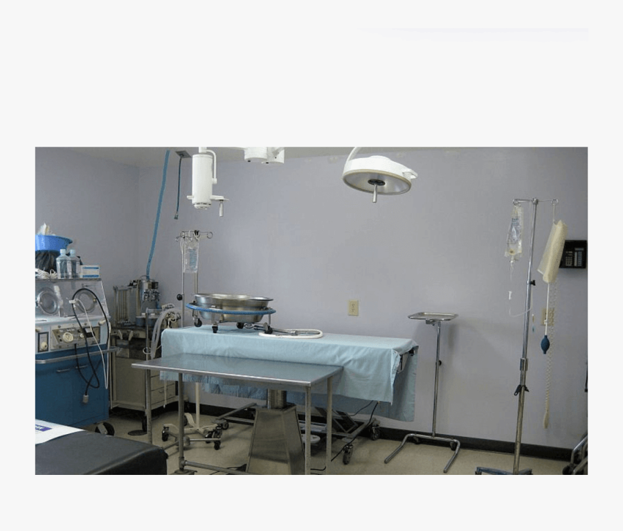 Surgery At Fort Wayne Animal Hospital - Clinic, Transparent Clipart
