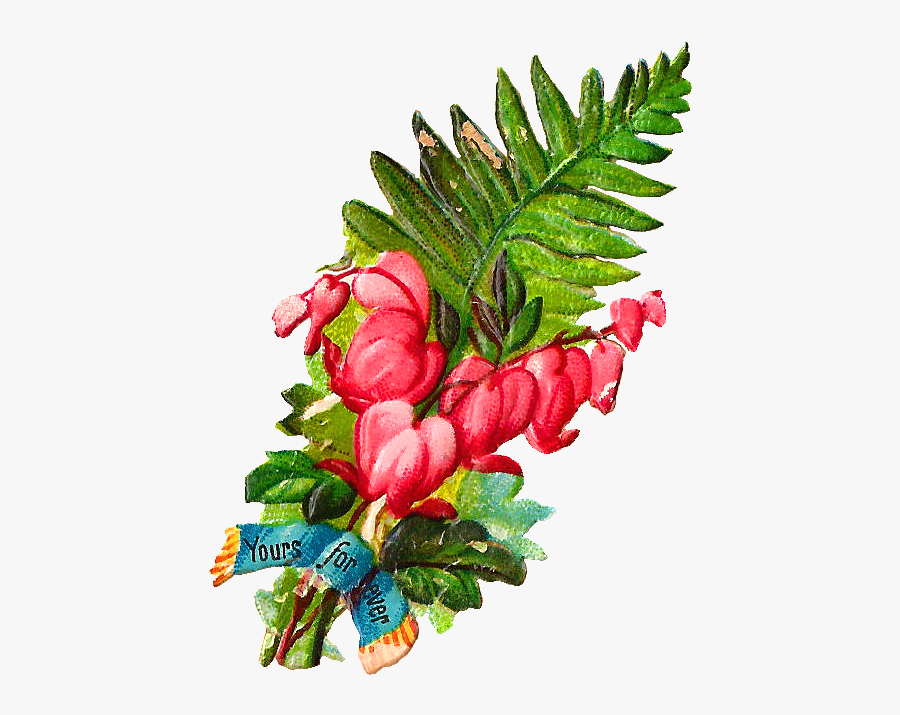 Illustration, Transparent Clipart