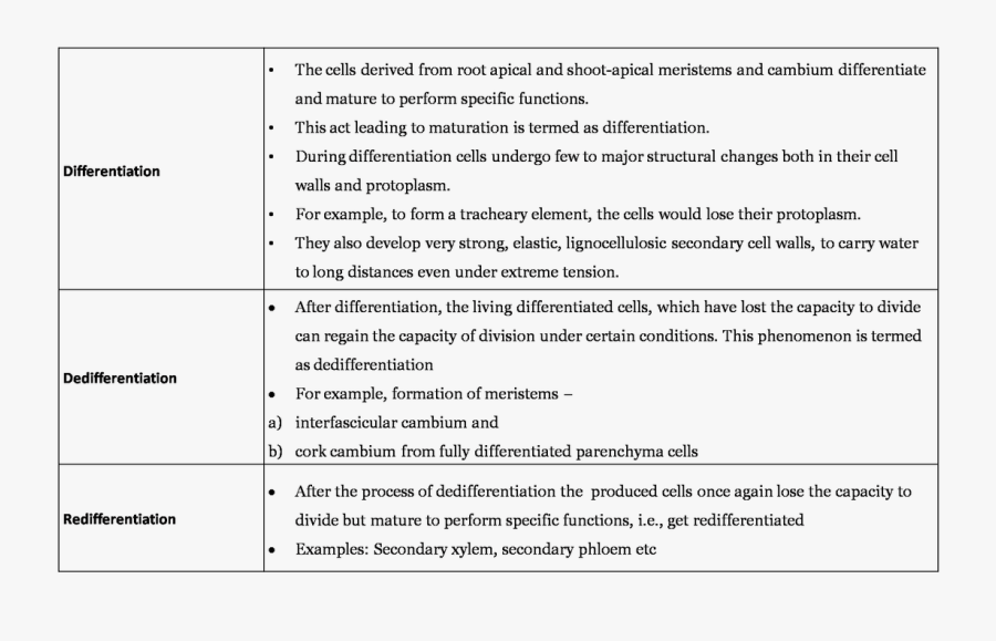 Picture - Differentiation Dedifferentiation And Redifferentiation, Transparent Clipart