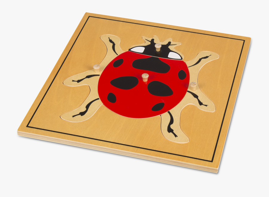 Ladybug, Transparent Clipart
