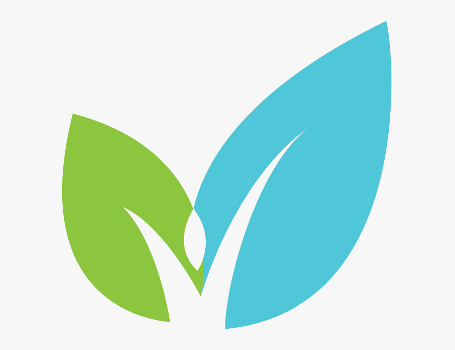 All About Salt - Graphic Design, Transparent Clipart