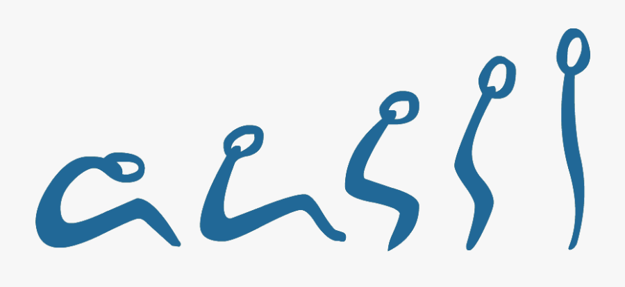 Chiropractic For Life, Llc, Transparent Clipart