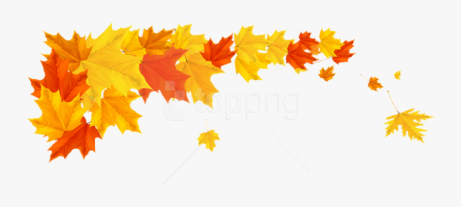 Leaf Cliparts Png Orange - Fall Leaves Border Png, Transparent Clipart