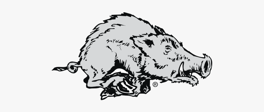 Arkansas Razorbacks, Transparent Clipart