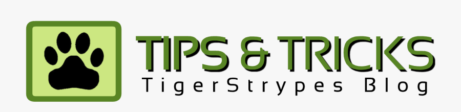 Graphics, Transparent Clipart