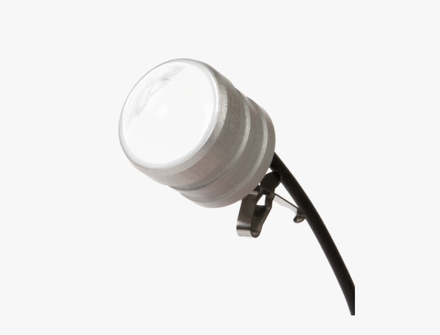 Delight Loupe Light Wire , Free Transparent Clipart ClipartKey