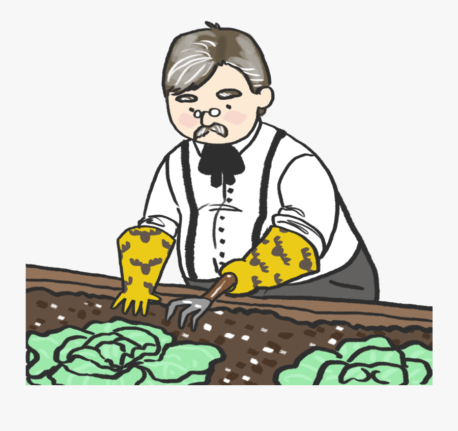 Clip Art, Transparent Clipart