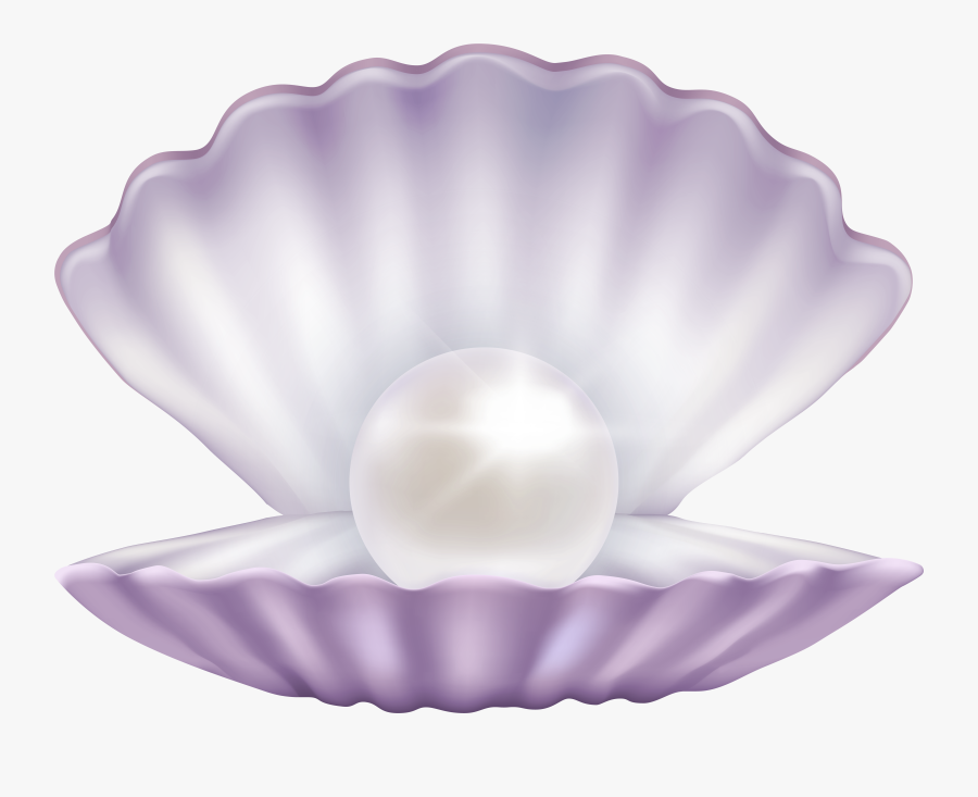 Shell Clipart Pearl Clipart, Transparent Clipart