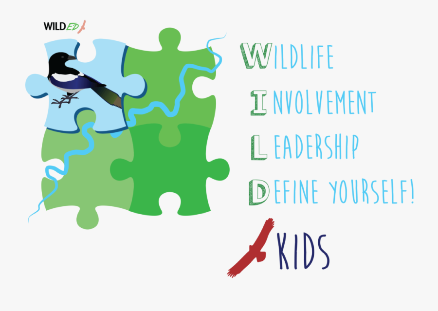 Graphic Design, Transparent Clipart