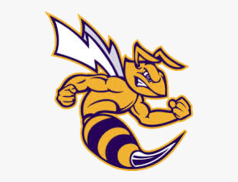Hornet Clipart Concordia - Angola High School Hornets, Transparent Clipart