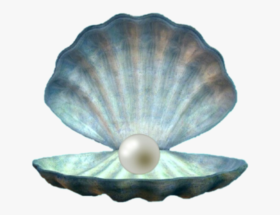 #seashell #shell #pearl #ocean #pretty #sea #sealife - Çocuklar Için Gece Elbiseleri, Transparent Clipart