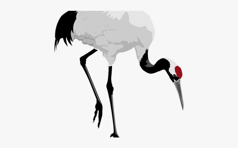 Red Crowned Crane Transparent, Transparent Clipart