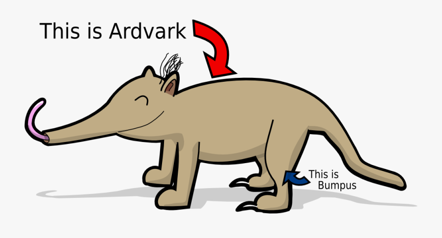 Aardvark Png, Transparent Clipart