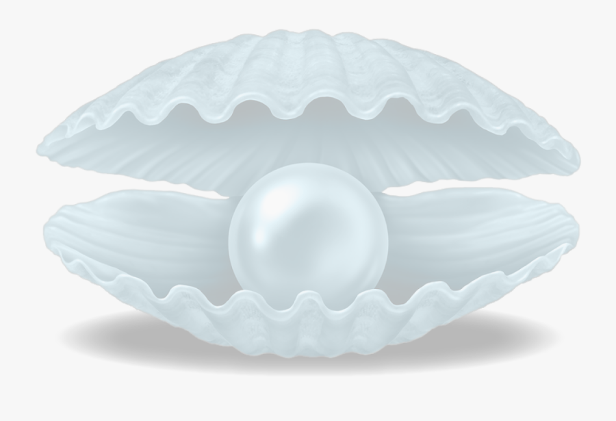 Giant Clam, Transparent Clipart
