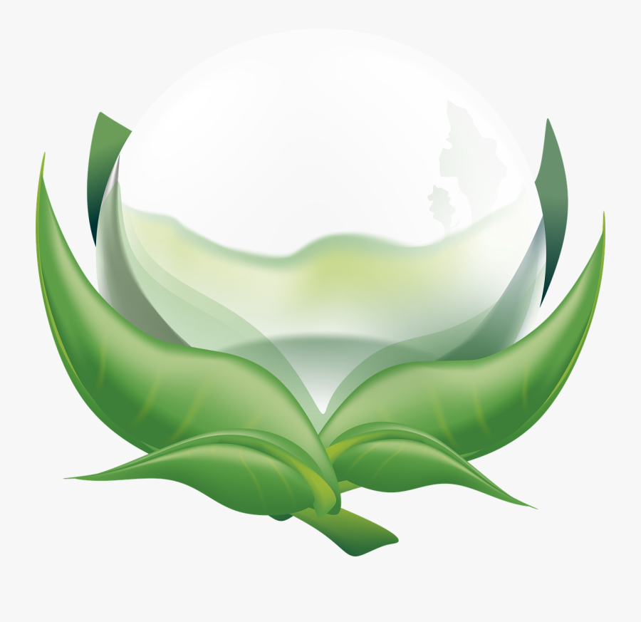 Pearl Drop Flower Free Picture - Illustration, Transparent Clipart