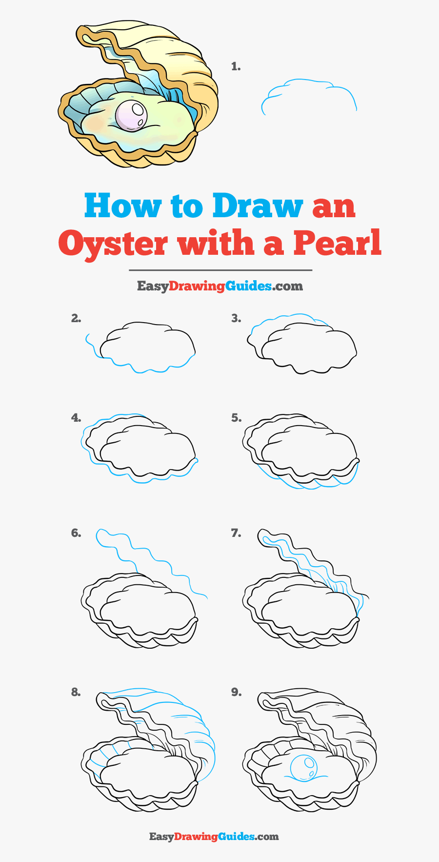 How To Draw Oyster With A Pearl - Draw A Pearl In An Oyster Step, Transparent Clipart
