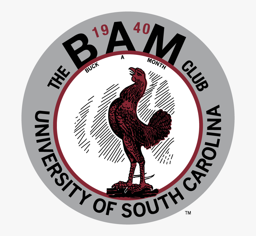 South Carolina Gamecocks Logo University Of South Carolina - Vintage Carolina Logo, Transparent Clipart