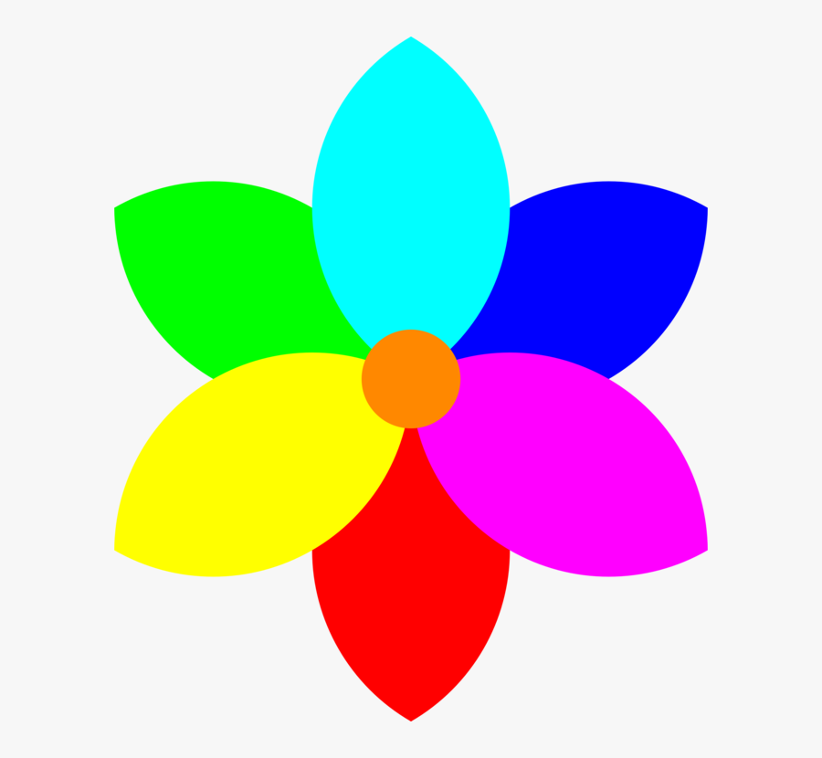 Flower,leaf,symmetry - Seven Colour Flower Petals, Transparent Clipart