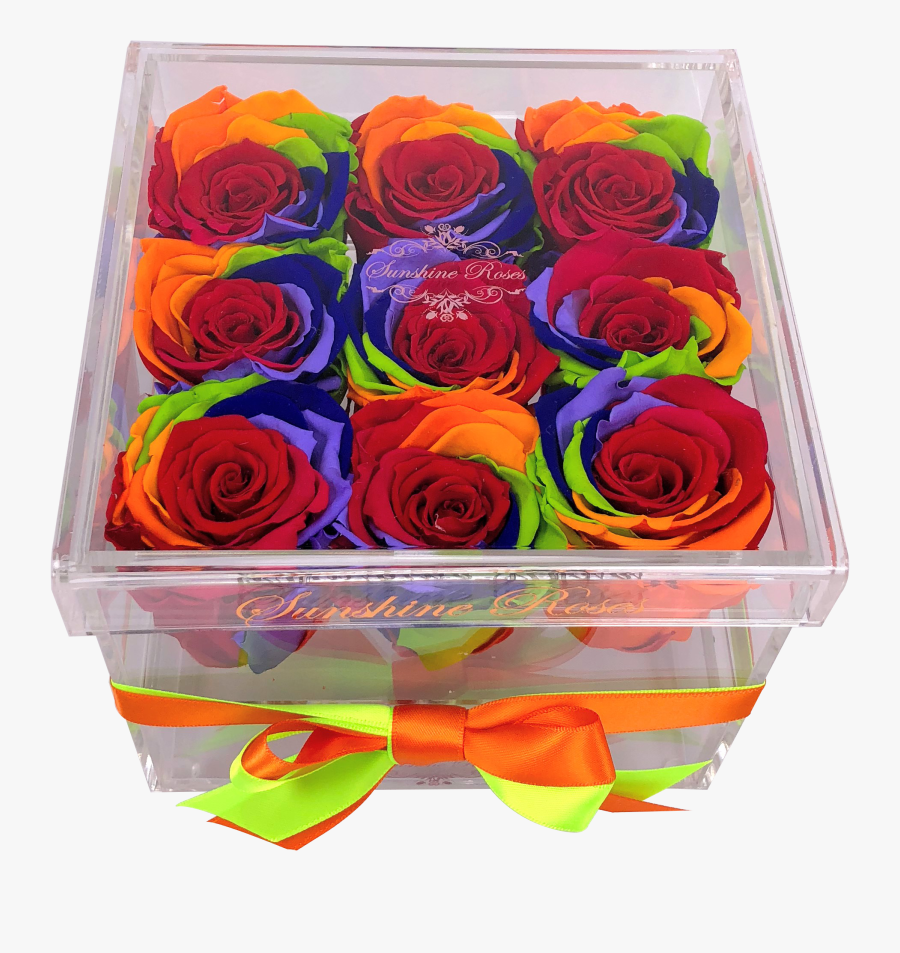 Transparent Rainbow Rose Png, Transparent Clipart