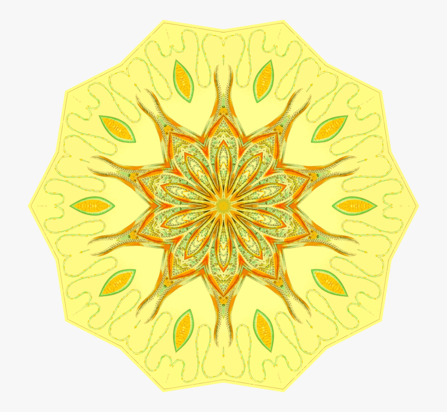 Flower,leaf,symmetry - Motif, Transparent Clipart