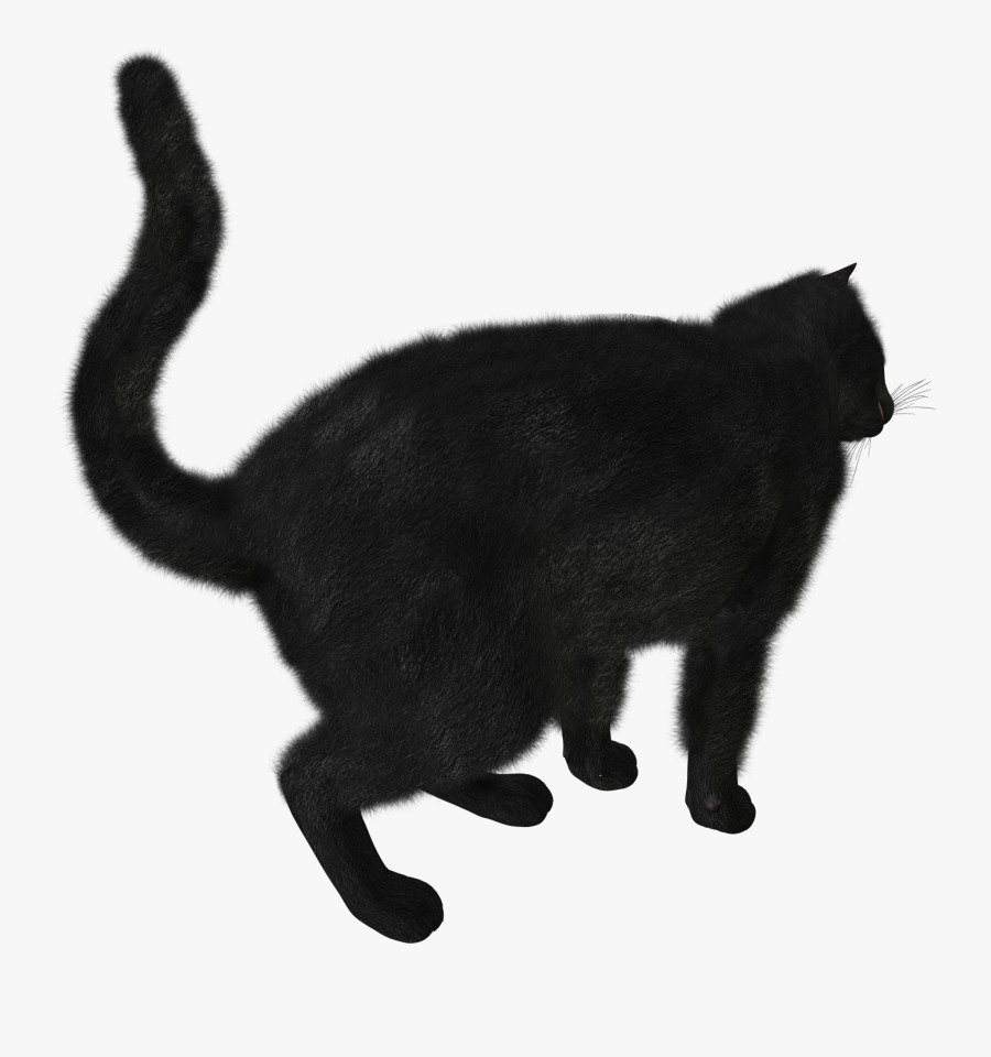 Cats Png Free Images, Download - Black Cat Png Gif, Transparent Clipart