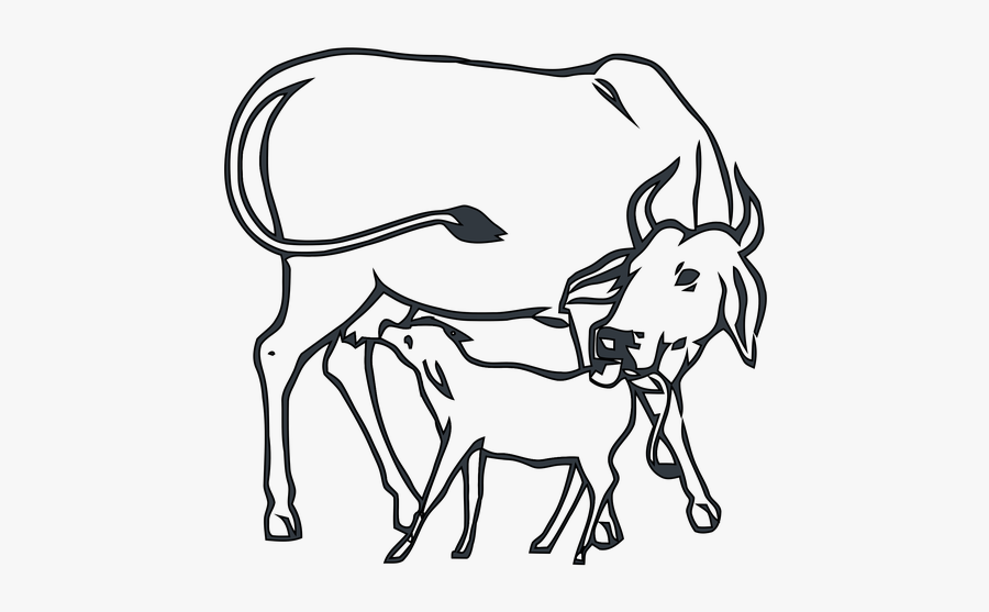 Collection Of Free Gandhi Drawing Symbol Download On - Cow And Calf Images Drawing, Transparent Clipart