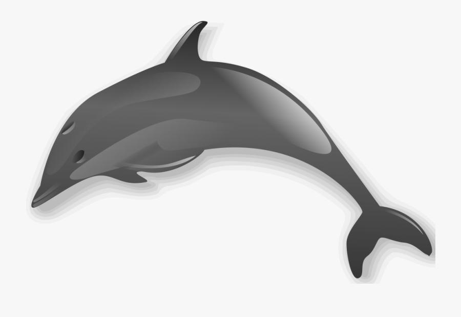 Dolphin 2 - Sea Creatures No Background, Transparent Clipart