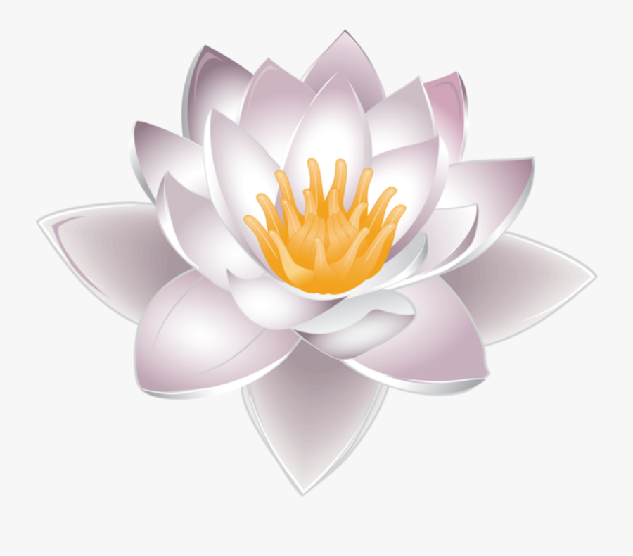 #ftestickers #clipart #flower #waterlily #white, Transparent Clipart