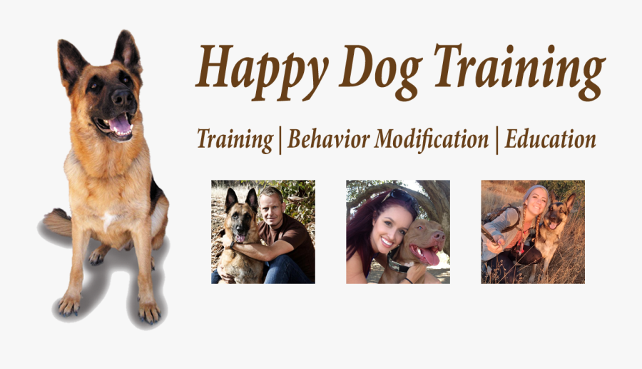 Happy Dog Png - Happy Dog Training, Transparent Clipart